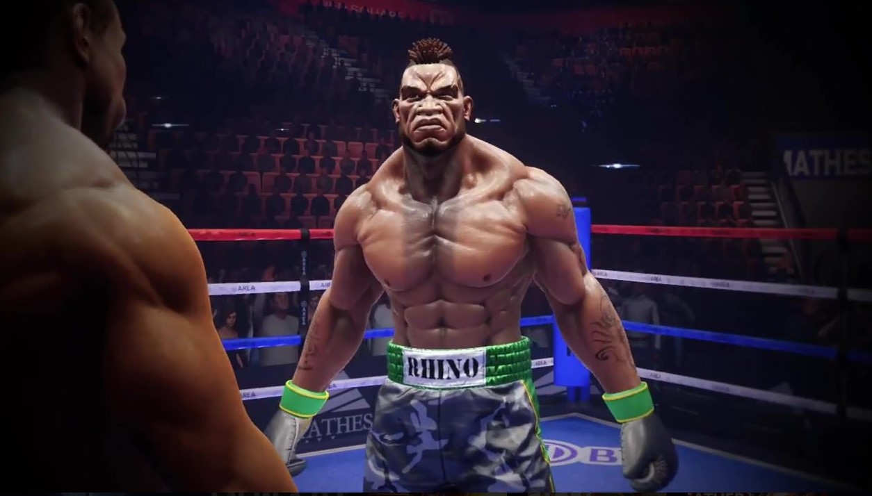 VR boxing VR Boxing